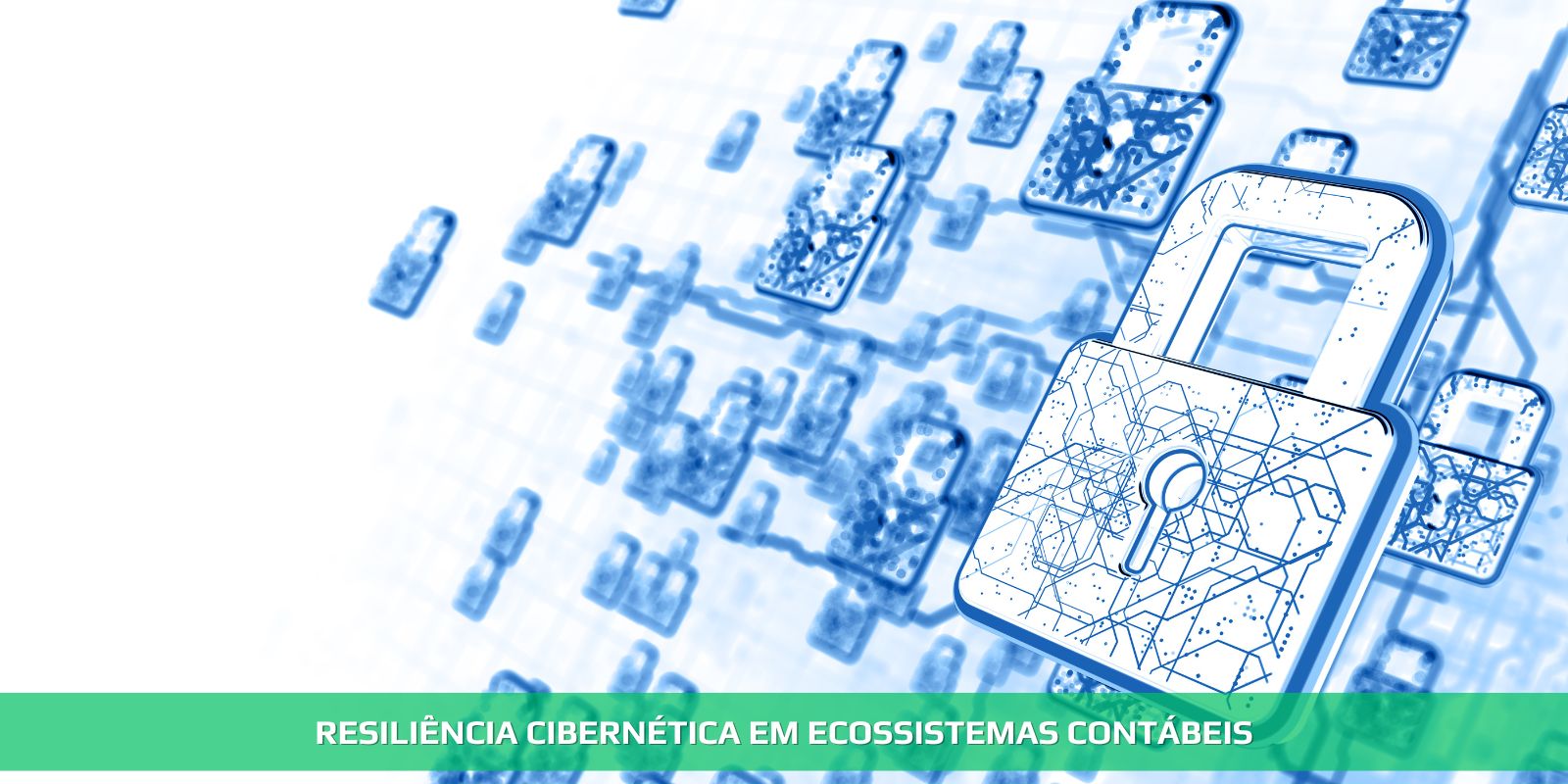 RESILIÊNCIA CIBERNÉTICA EM ECOSSISTEMAS CONTÁBEIS